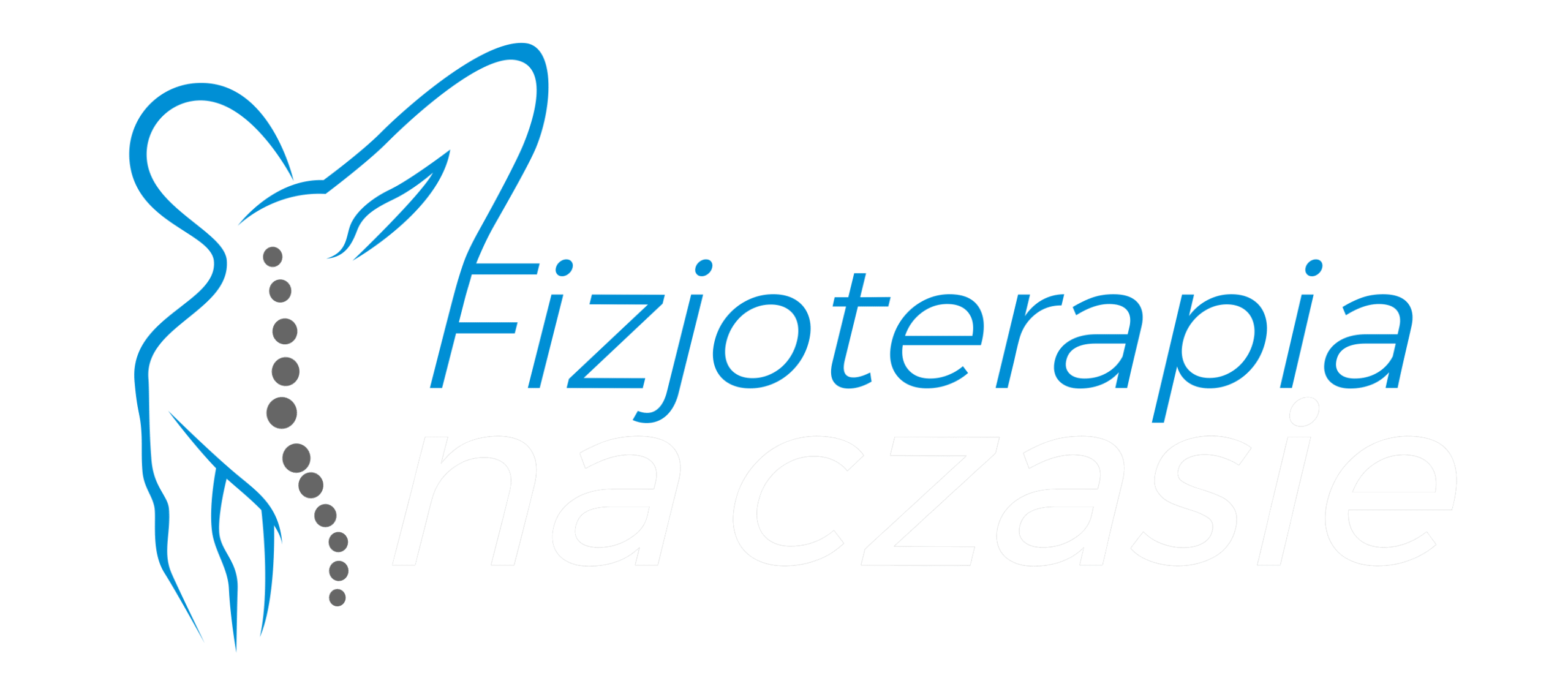 Fizjoterapia na czasie Mogilno